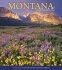 Montana Unforgettable