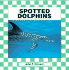 Spotted Dolphins