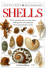 Shells (Dk Handbooks)