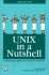 Unix in a Nutshell: System V Edition: System V, Release 4 (Nutshell Handbooks)