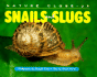 Nature Close Up: Snails & Slugs