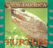 Wild America-Turtles