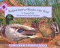 Mallard Duck at Meadow View Pond-a Smithsonian's Backyard Book