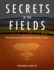 Secrets in the Fields: the Science & Mysticism of Crop Circles