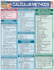 Calculus Methods (Quickstudy Reference Guides-Academic)