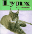 Lynx: a Carolrhoda Nature Watch Book