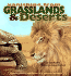 Grasslands and Deserts (Vanishing From)