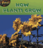 Library Book: How Plants Grow (Rise and Shine)