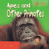 Apes and Other Primates (Eye View)