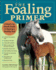 The Foaling Primer: a Month-By-Month Guide to Raising a Healthy Foal