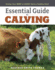 Essential Guide to Calving: Giving Your Beef Or Dairy Herd a Healthy Start