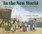 In the New World: a Family in Two Centuries