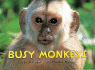 Monkeys! : a Busy Animals Book