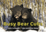 Busy Bear Cubs (a Busy Book)