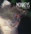 Monkeys