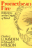 Promethean Fire: Reflections on the Origin of Mind