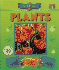 Plants Interfact