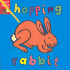 Hopping Rabbit