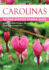 Carolinas Getting Started Garden Guide: Grow the Best Flowers, Shrubs, Trees, Vines & Groundcovers (Garden Guides)