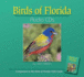 Birds of Florida (Bird Identification Guides)