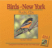 Birds of New York Audio (Bird Identification Guides)