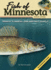 Fish of Minnesota Field Guide (Fish Identification Guides)
