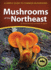 Mushrooms of the Northeast Format: Paperback