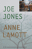 Joe Jones: a Novel