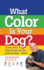 What Color is Your Dog? : Train Your Dog Based on His Personality "Color" (Kennel Club Books)