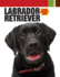 Labrador Retriever (Companionhouse Books) (Smart Owner's Guide)