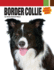 Border Collie (Smart Owner's Guide)