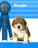 Beagle (Breeders' Best)
