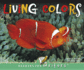 Living Colors (Readers for Writers-Emergent)