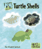 Turtle Shells (Fact and Fiction)