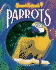 Parrots (Smart Animals)