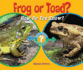 Frog Or Toad? : How Do You Know? (Which Animal is Which? )