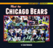 Meet the Chicago Bears (Big Picture Sports)