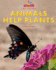 Animals Help Plants (Beginning-to-Read, Read and Discover-Science)