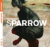 Sparrow