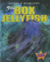 The Box Jellyfish (Pilot Books: Nature's Deadliest)