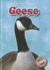 Geese (Blastoff! Readers: Backyard Wildlife: Level 1)