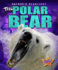 The Polar Bear (Nature's Deadliest)