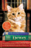 Dewey: the Small-Town Library Cat Who Touched the World