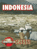 Indonesia (Countries in Crisis)