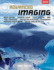 Advanced Imaging (a Lark Photography Book)
