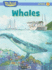 Whales (We Read Phonics Leveled Readers)