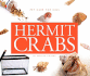 Hermit Crabs (Pet Care for Kids)