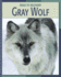 Gray Wolf (21st Century Skills Library: Road to Recovery)