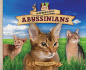 Awesome Abyssinians (Cat Craze)