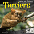 Tarsiers (Nocturnal Animals)